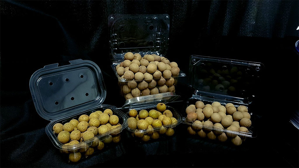 thermoformed trays food packaging longan